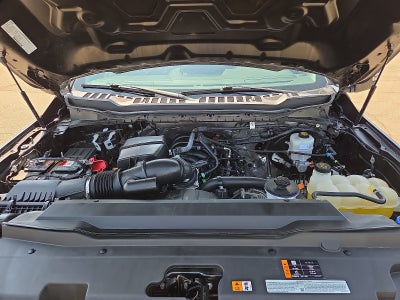 2024 Ford Super Duty F-250 SRW XL