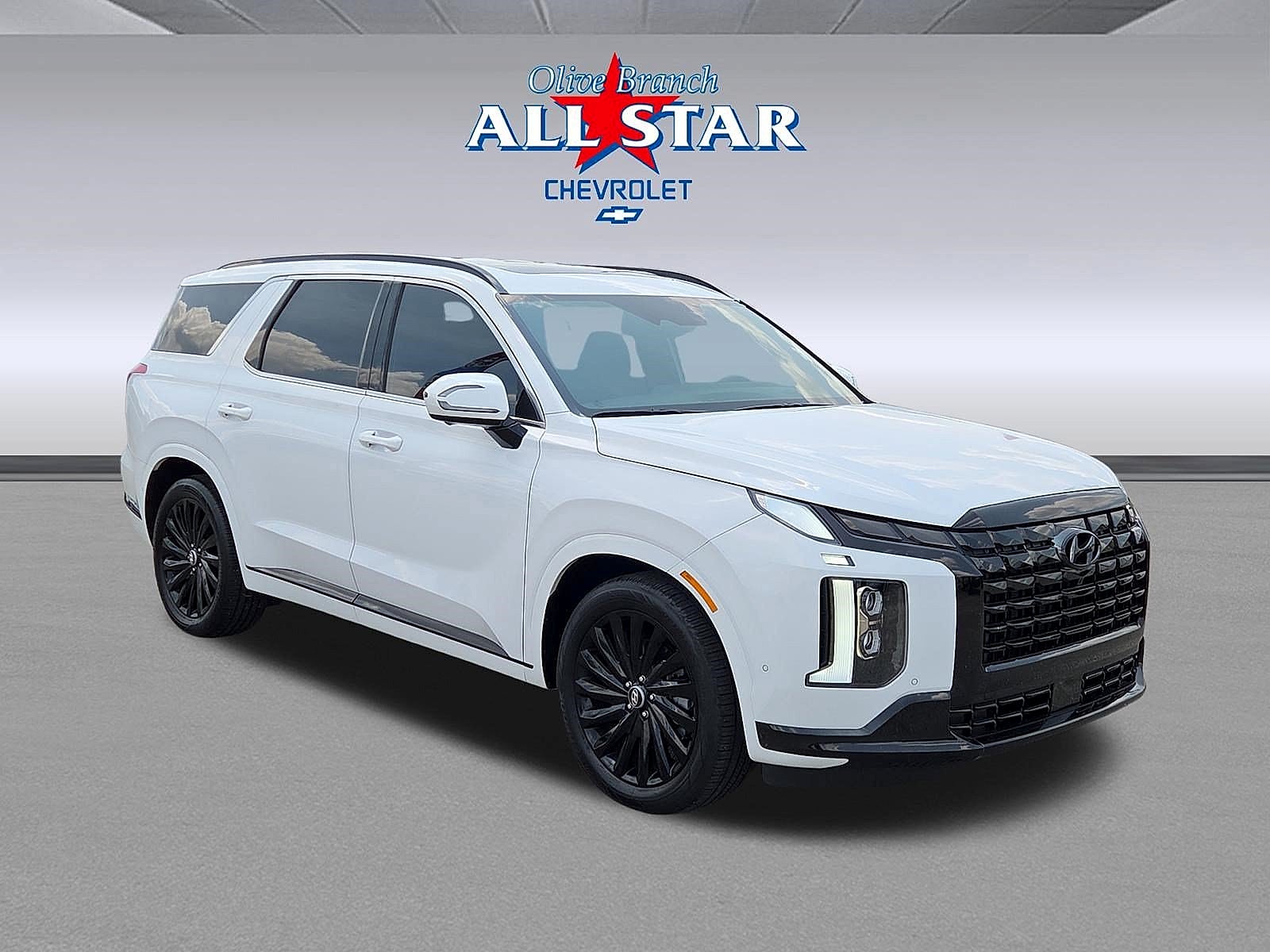 2025 Hyundai Palisade Calligraphy Night Edition