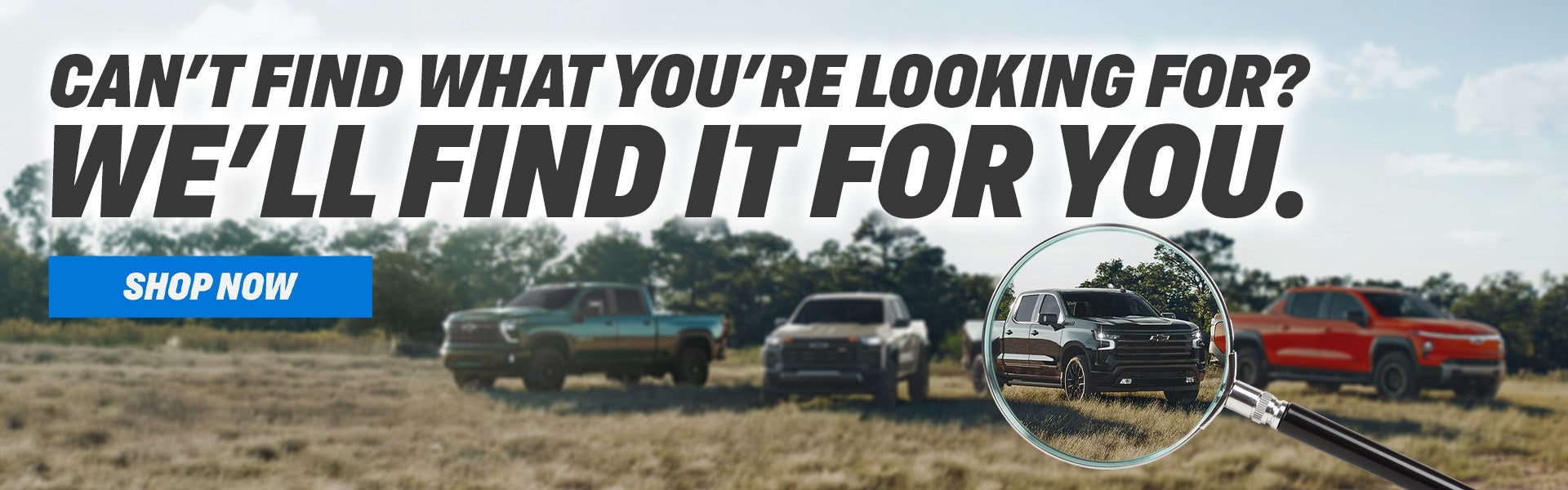 We Can Find Any Vehicle For You 